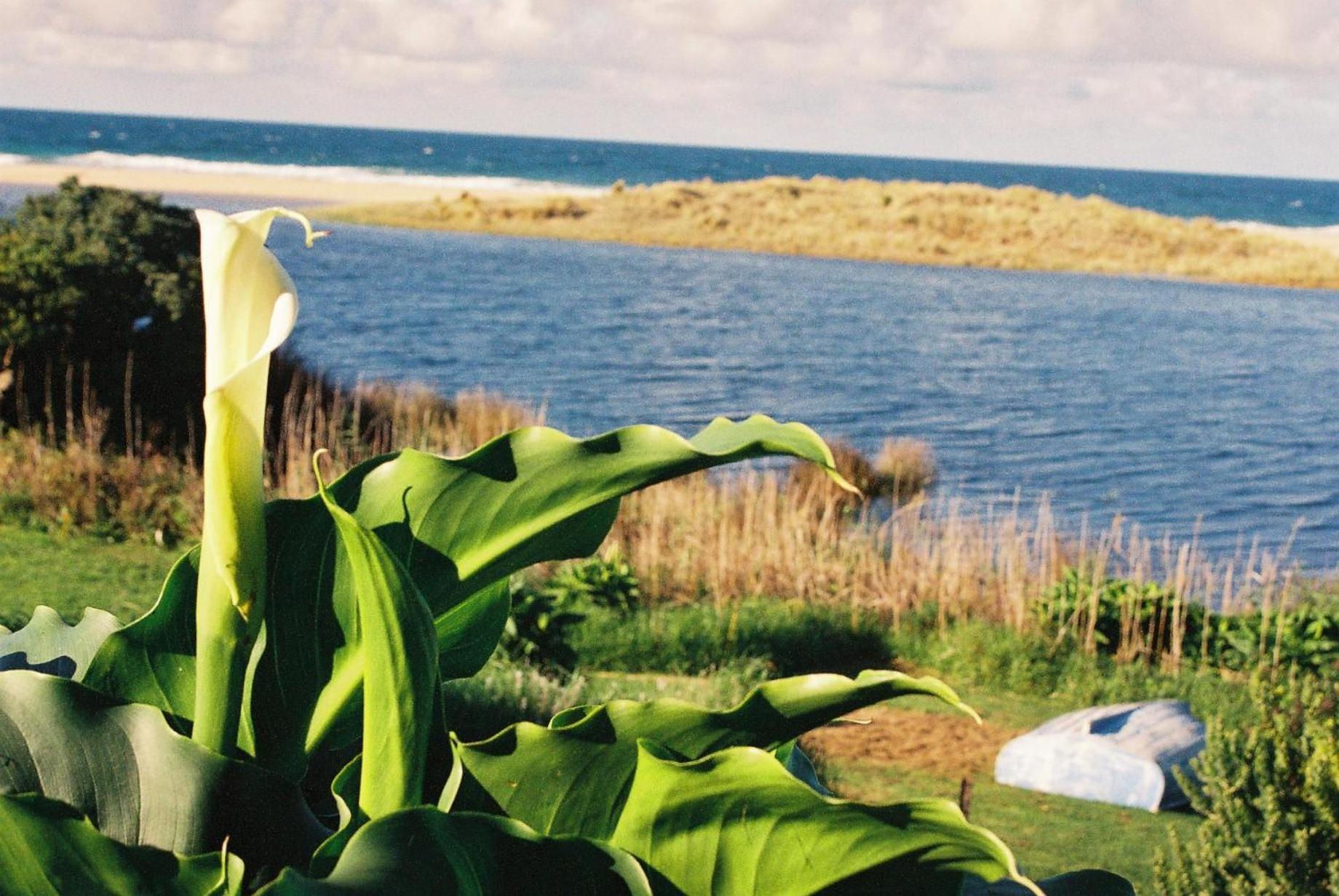 Apollo Bay Guest House Екстер'єр фото